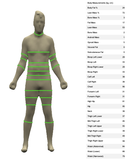 Screenshot1 of a Bodyscan Report